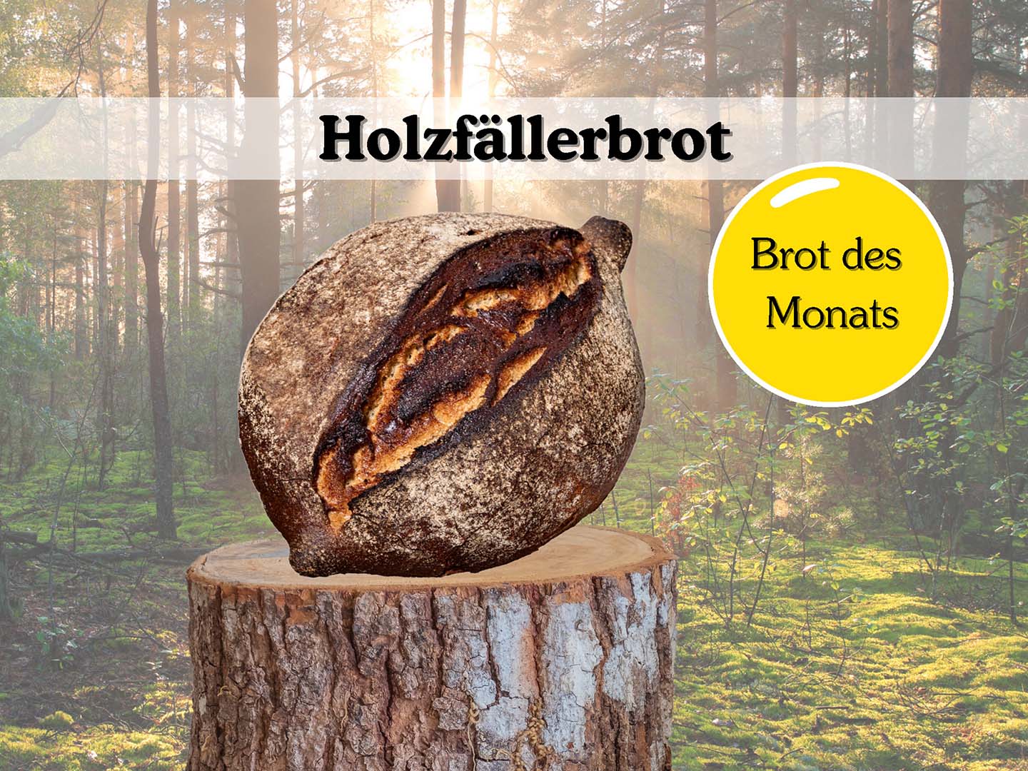 Brot des Monats - Das Holzfällerbrot